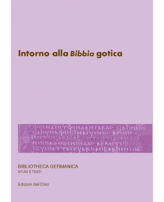 Intorno alla «Bibbia» gotica