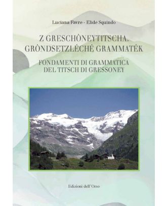 Z Greschòneytitscha - gròndsetzléché grammaték