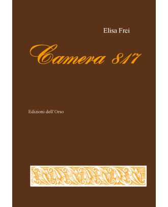 Camera 817