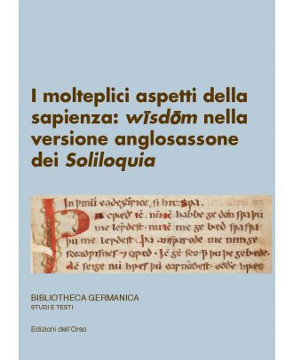 I molteplici aspetti della sapienza: "wisdom" nella versione anglosassone dei "Soliloquia"