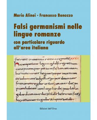 Falsi germanismi nelle lingue romanze con particolare riguardo all'area italiana